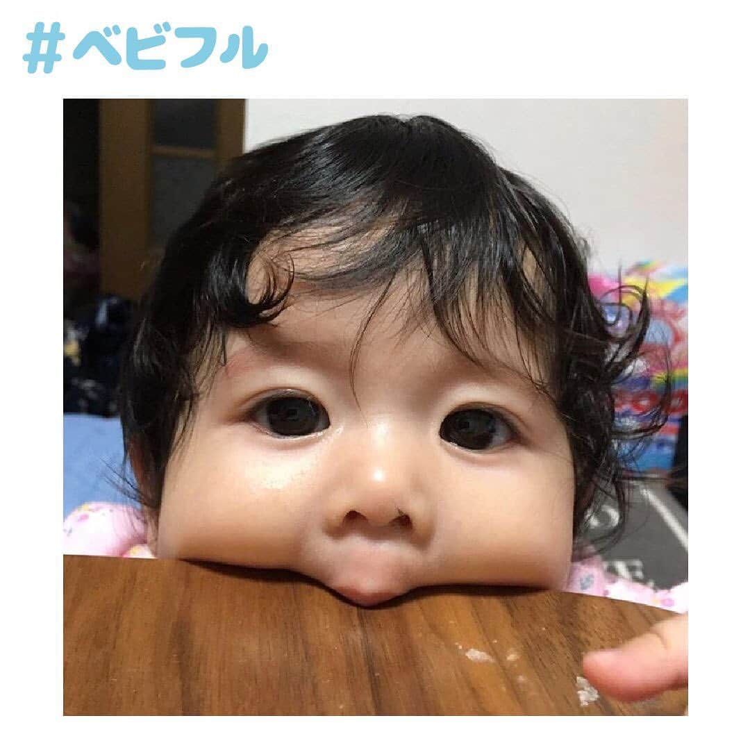 Babyful Storeさんのインスタグラム写真 - (Babyful StoreInstagram)「ハムっ😳💓 #ベビフル . いつもベビフルを ありがとうございます＊ . 本日のピックアップ画像は… . @hayato_alpha さん👑✨✨ . くりくりのおめめと、 プニプニのほっぺが可愛すぎて 自然と笑みがこぼれました😂💓💓 . . この度はとっても癒されるお写真を ありがとうございました♪ . . . . ＼赤ちゃんモデルデビューのチャンス／ 💡💡🔅✨✨👶🏻✨✨🔅💡💡 . 前回大反響だった オーディション企画の第2弾🌈 . スター子役をたくさん輩出している #テアトルアカデミー と#ベビフル がコラボ👶🏻 . 参加条件は子どもの写真に #ベビフルテアトル次世代スター をつけて 投稿するだけ😌 . 3ヶ月以内の過去投稿へのタグ付けもOKです👌🏻 . . 詳しくは#ベビフルテアトル次世代スター の投稿、 またはプロフィールのURLからどうぞ✨ →@babyful_official . . ご不明な点がございましたら ダイレクトメッセージにてご連絡ください😌 . 今後ともベビフルを どうぞよろしくお願いいたします✨ . . #女の子ママ  #親バカ部 #親バカ #親ばか #育児 #子育 #癒し #家族 #成長記録 #子育て #赤ちゃん #ベビフル  #ベビフルテアトル次世代スター #オーディション #赤ちゃんモデル #PR」5月24日 19時30分 - babyful_official