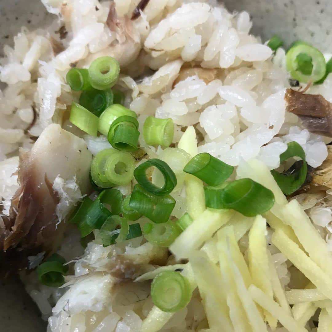 江口寿史さんのインスタグラム写真 - (江口寿史Instagram)「ゆうべ、ささの葉で帰り際マスターにいただいた立派な鯛の塩焼きで鯛めし炊いたら激ウマだった件。」5月24日 19時46分 - egutihisasi