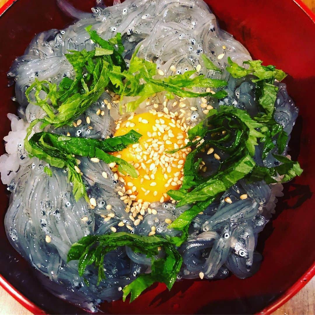 ひうらさとるのインスタグラム：「地元に帰ってきて、獲れたて生しらす丼。そして裸足に下駄ー #生しらすたっぷり3人分で600えん #おけしょう鮮魚  #地元じゃ靴知らずー  #下駄は #DOUBLEMAISON」