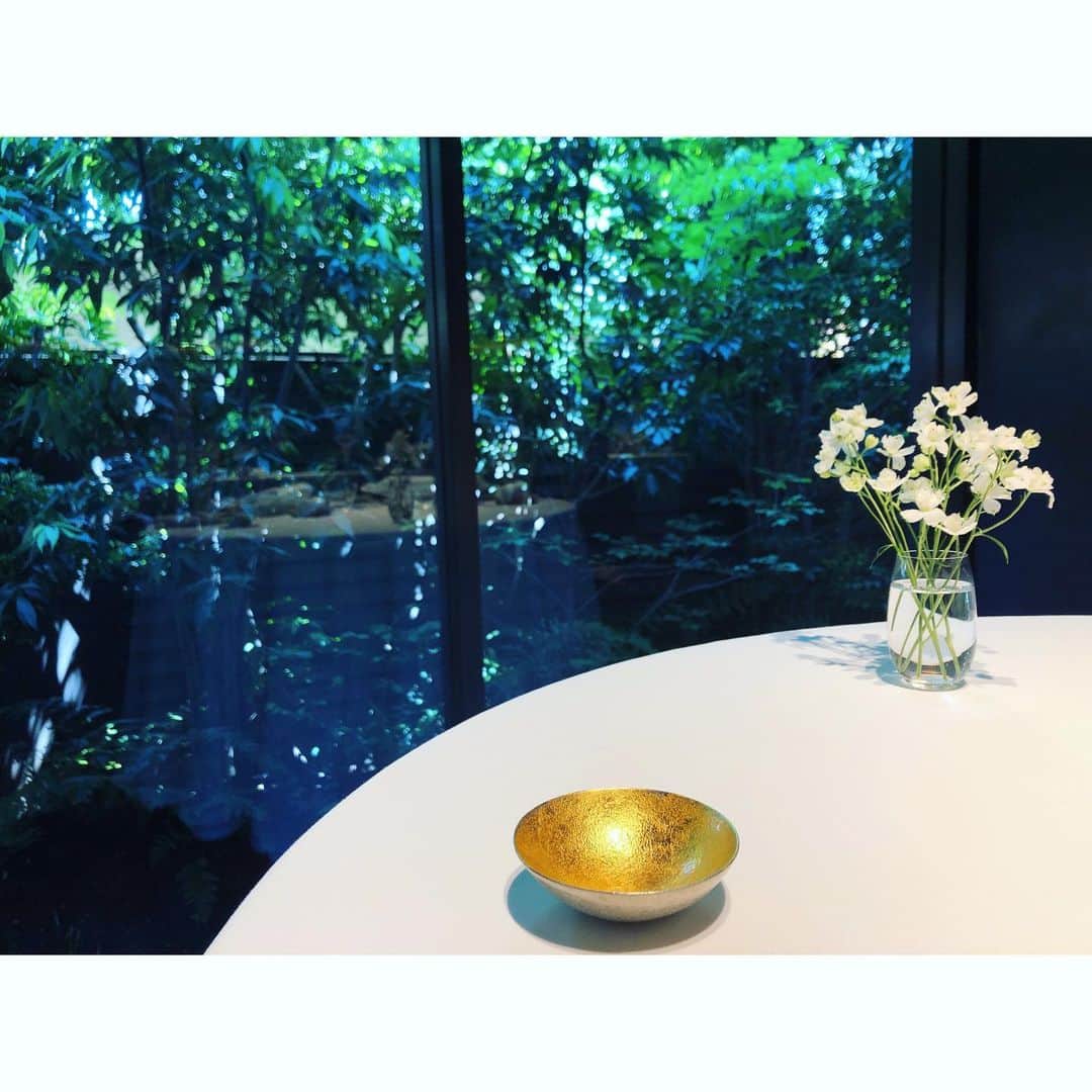 廣瀬規子さんのインスタグラム写真 - (廣瀬規子Instagram)「@kenkenpa0223 くん！ 素晴らしいおもてなしをありがとうございました🙏✨ * 立派になられて、、、 参観日に来た母のような気持ちでお邪魔しました。笑 * まだ一度しか行ったことがなかったけれど、私の大好きな @leffervescence で働くことになりましたと連絡をもらった時は、なんだかとっても嬉しくて。 折角ご連絡を頂いたので、 今日は美食家でワイン好きな @tomotta を誘ってランチへ。 * 久しぶりの再会と、やっぱり美しくて美味しいお食事、 そして楽しい会話に、とても幸せな気持ちになりました。 * #leffelvescence  #レフェルヴェソンス #青山フレンチ #贅沢ランチ #何気にお子様OK #嬉しい #lunch #tokyolunch #出来れば季節ごとに行きたいお店」5月24日 20時13分 - noriko_style