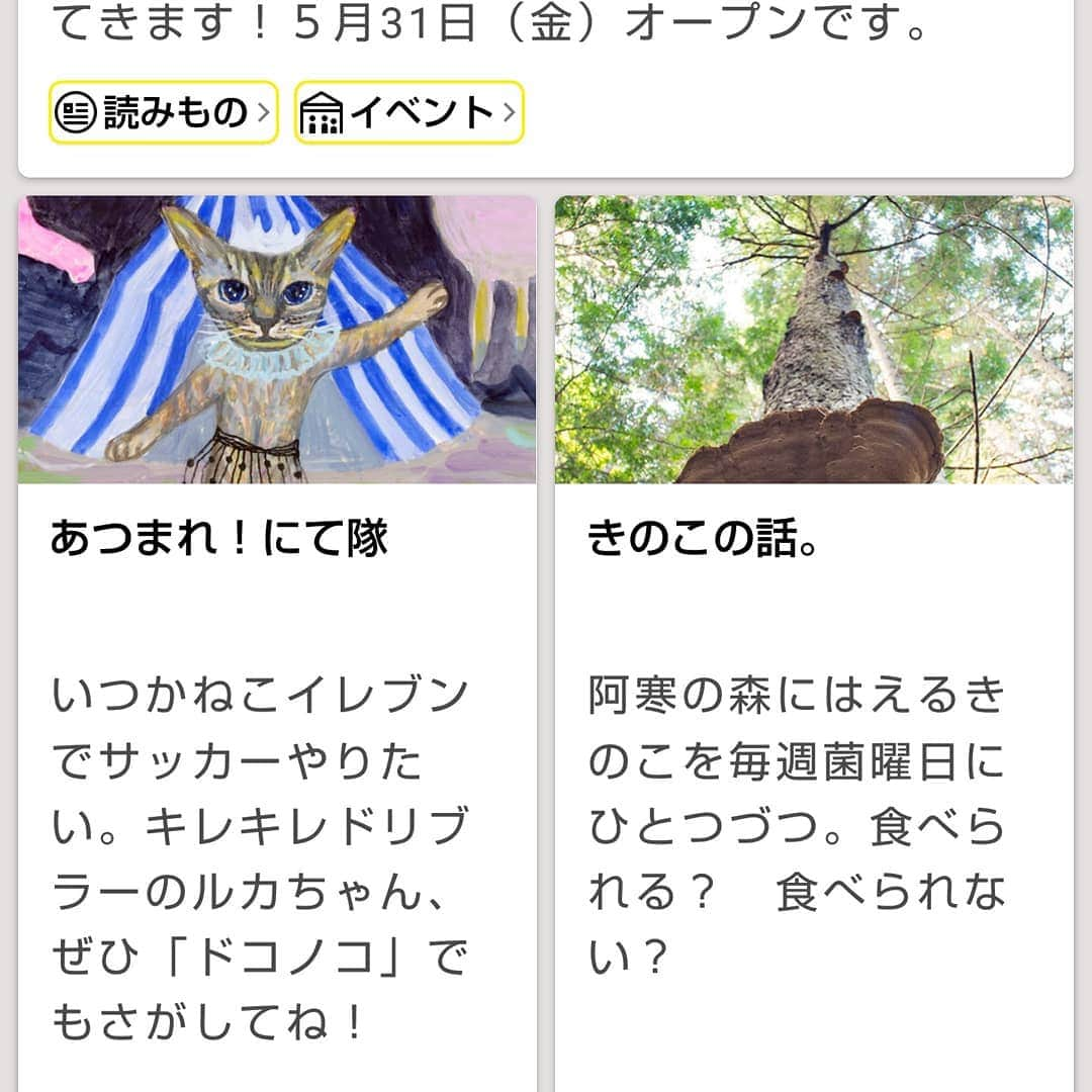 タンゲクンさんのインスタグラム写真 - (タンゲクンInstagram)「ほぼ日 金曜日の 「あつまれ！にて隊」に こんな子が加わりました のお知らせです。  #にて隊 #にて隊ぱんぷきん組」5月24日 11時20分 - etsukomiuze