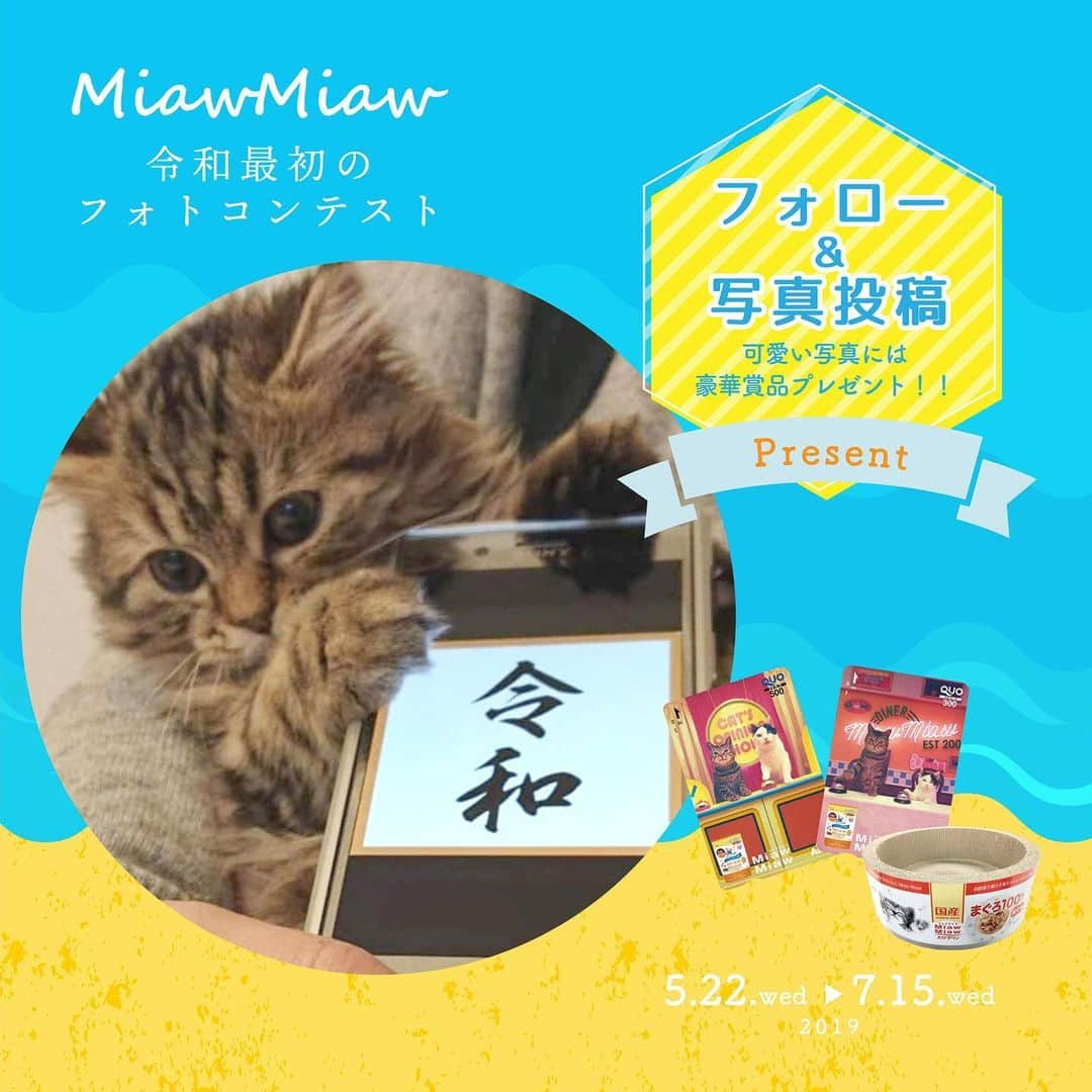 MiawMiawさんのインスタグラム写真 - (MiawMiawInstagram)「＼MiawMiaw　令和最初のフォトコンテスト　開催！／⁣⁣ 新元号を記念して、素敵なフォトを大募集！🌞💕⁣⁣ ⁣⁣ 令和が始まって初のMiawMiawフォトコンテストで⁣⁣ 自慢の猫ちゃんを投稿して豪華賞品をGET😻⁣⁣ ⁣⁣ 皆さまのご参加をお待ちしております🐈⁣⁣ ⁣⁣ ＜参加方法＞ ⁣⁣ ① @miawmiaw_series (ミャウミャウ公式アカウント)をフォロー⁣⁣ ② 応募テーマに合ったお写真を撮影する（過去に撮影したお写真の投稿も可)⁣⁣ ③ 下記の指定ハッシュタグの中から、一つ選んで投稿する（複数応募・複数枚投稿可）⁣⁣ ⁣⁣ 【猫ちゃんと令和にちなんだ記念フォト】⁣二枚目のスライド写真を是非ご利用ください！⁣ #令和miawmiaw⁣⁣ ⁣⁣ 【猫ちゃんと夏にちなんだフォト】⁣⁣ #夏猫miawmiaw2019⁣⁣ ⁣⁣ 【猫ちゃんのリラックスしているフォト】⁣⁣ #リラックスmiawmiaw2019夏⁣⁣ ⁣ フォトコンテスト期間中⁣、指定のハッシュタグでご参加いただいてる方を、⁣⁣ 当アカウントでご紹介させていただくこともございます😻⁣⁣ ⁣⁣ ＜募集期間＞⁣⁣ 2019年5月22日(水)～2019年7月15日(月)23:59まで⁣⁣ ⁣⁣ ＜賞品＞⁣⁣ 大賞✨（3名さま　※各ハッシュタグ×1名さまずつ）投稿フォト入りオリジナル爪とぎ + ＭiawＭiaw商品詰め合わせ⁣⁣ 金賞✨（9名さま　※各ハッシュタグ×3名さまずつ）オリジナルクオカード2枚セット800円分 + ＭiawＭiaw商品詰め合わせ⁣⁣ 銀賞✨（15名さま　※各ハッシュタグ×5名さまずつ）ＭiawＭiaw商品詰め合わせ⁣⁣ ※賞品の画像はイメージです。変更になる場合がございます。⁣⁣ ⁣⁣ ＜当選者様へのご連絡＞⁣⁣ 当選者発表は7⽉下旬を予定しております。⁣⁣ 当選者の⽅には Instagram上のDMにてご連絡致します。⁣⁣ ⁣⁣ ＜ご注意＞⁣⁣ ＊本キャンペーンにご参加いただくことにより、本募集要項に同意いただいたものとみなします（未成年の方については、親権者に同意いただいたものとみなします）。⁣⁣ ＊抽選時に、アカウントフォロー及び指定のハッシュタグ投稿を継続いただいていることが確認できない場合、抽選の対象から外れることがあります。フォトコンテスト終了からおおむね1か月程度、参加条件に達する状態を継続いただくことをお勧めします。⁣⁣ ＊アカウントを非公開設定にしている場合は選考対象外となります。⁣⁣ ＊再抽選は行いません。⁣⁣ ＊当選者は、配送の都合で日本国内のにお住まいの方に限らせていただきます。⁣⁣ ＊企業アカウントからのご応募は選考対象外となります。⁣⁣ ＊賞品の返品・交換はできませんのでご了承くださいませ。⁣⁣ ＊賞品の転売は禁止させていただきます。 ⁣⁣ ＊通信環境の問題でDMが不着となった場合、又はご当選通知のDMに記載の手続きを履行いただけない場合、ご当選の資格は無効となります。⁣⁣ ＊賞品画像はイメージとなります。⁣⁣ ＊本キャンペーン参加にあたって生じるインターネット接続料や通信料、当選連絡DMに記載の手続を履践するにあたって生じる諸費用は、ご本人様の負担となります。⁣⁣ ＊本キャンペーンで投稿いただいた写真や動画の中は、当社公式Instagramアカウントにてご紹介させていただく場合がございます。なお、このご紹介はプレゼントの当選とは関係がありません。⁣⁣ ⁣⁣ たくさんのご応募お待ちしております！⁣⁣ ⁣⁣ #miawmiaw #ミャウミャウ⁣⁣ #miawmiaw令和最初のフォトコンテスト ⁣⁣ ⁣⁣ #令和miawmiaw⁣⁣ #夏猫miawmiaw2019⁣⁣ #リラックスmiawmiaw2019夏⁣⁣ ⁣⁣ #フォトコンテスト #コンテスト⁣⁣ #プレゼント企画 #プレゼント #プレゼントキャンペーン ⁣⁣ #キャンペーン開催中 #キャンペーン⁣⁣ ⁣⁣ #ねこのいる生活 #ねこばか #ネコ好き⁣⁣ #猫 #ねこ #ネコ #にゃんこ #猫部 #ねこ部 #キャットフード #猫好きさんと繋がりたい #猫好き #にゃんこ部 #にゃんすたぐらむ #ねこすたぐらむ #にゃー」5月24日 11時59分 - miawmiaw_series