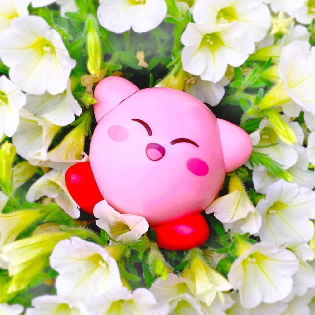 任天堂さんのインスタグラム写真 - (任天堂Instagram)「#星のカービィ #カービィ #kirby #Nintendo #任天堂」5月24日 12時10分 - nintendo_jp