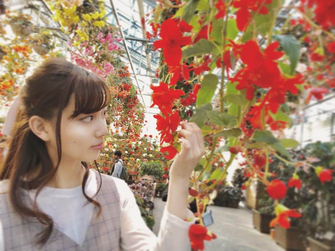 間瀬遥花さんのインスタグラム写真 - (間瀬遥花Instagram)「. . なんか一瞬で春終わってったよね ついこないだ２月並みの寒さに逆戻りとか言ってたのに こんどはもう真夏日ってなに？？ . . . #タグ考えるのめんどくさい #ただのつぶやき」5月24日 12時11分 - maseharu_929