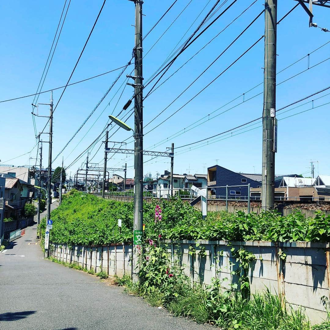 須賀勇介のインスタグラム