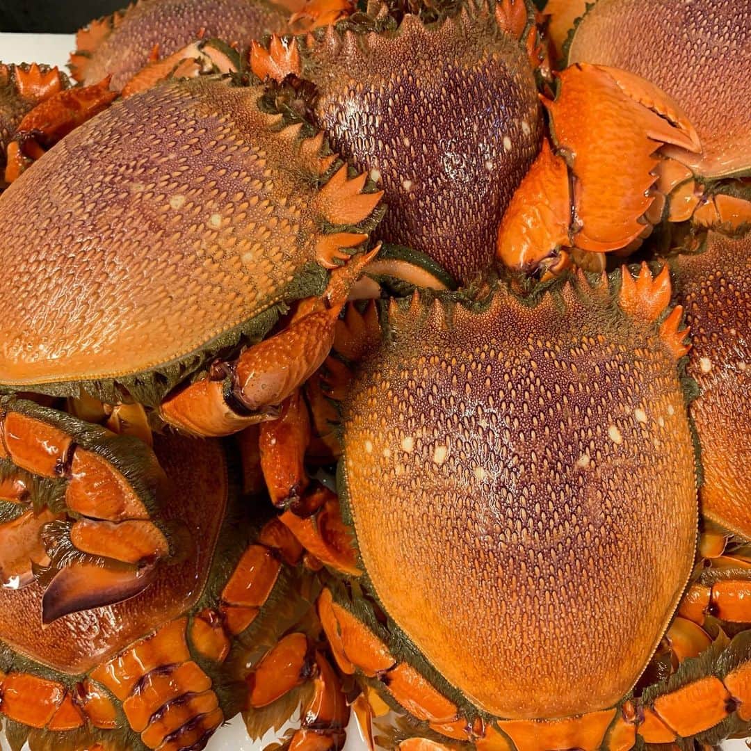 ONE SUITE Hotel & Resort（公式）のグルメインスタ