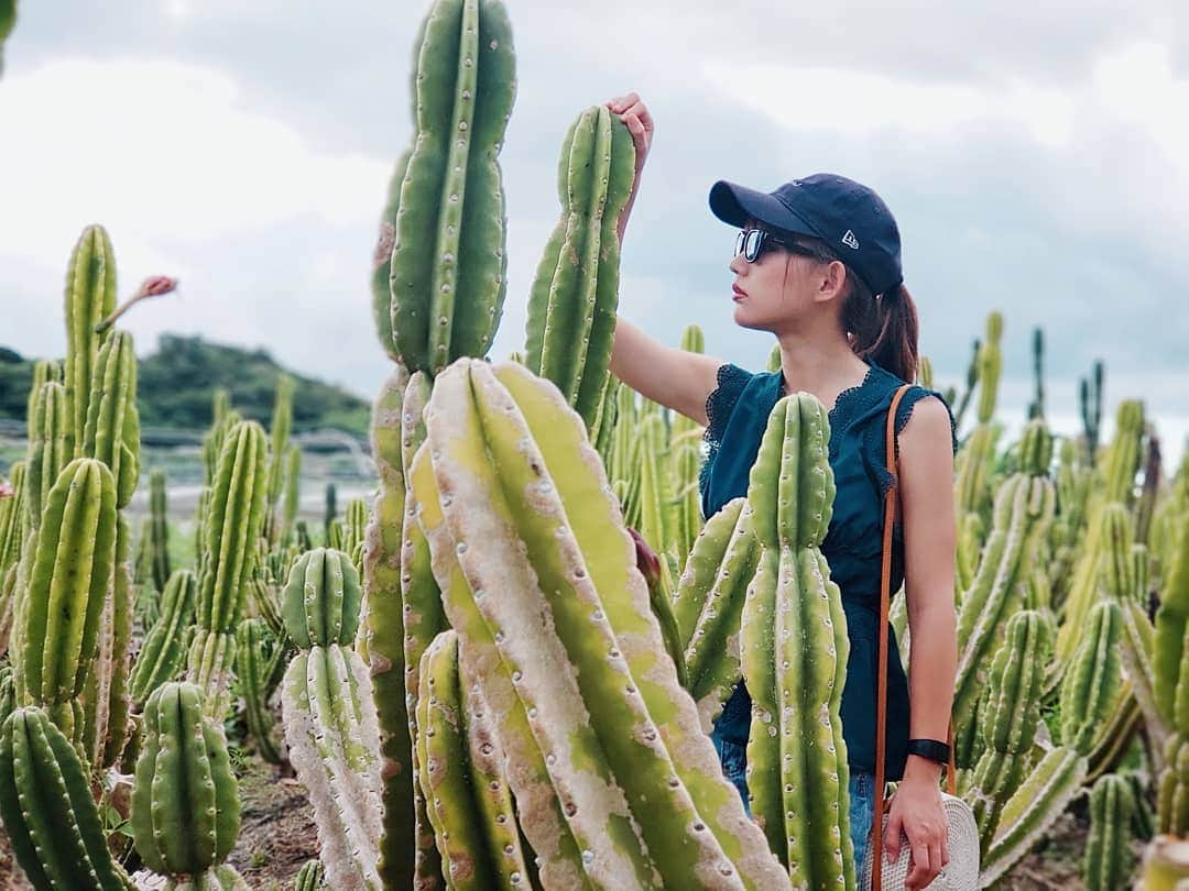 保坂玲奈さんのインスタグラム写真 - (保坂玲奈Instagram)「🌵 . 今年の夏は沖縄で "リゾートビューティーキャンプ" に行くって決めた❤ . ファスティングをしながら トレーニングする😤✨ . ファスティングは 有名なエステプロラボさんのものを 使用して、知識を身につける時間も あるみたいだから色々学んでこよーっと✏ . トレーニングはミス・ユニバース長野大会の グローブアップセミナーでもお世話になった stargymさんがサポート！ . . 沖縄の自然を感じながら 美の知識を学んで、体験して 身も心も綺麗になって帰って来れる有意義な旅🥰 . 部屋は全室オーシャンビューで 自由時間も多いので 観光したりプールや海でchillしたり アクティビティに行ったりも出来そう🎵 この写真のサボテン畑も沖縄でオススメ🌵💛 . . 女性限定 通常料金 1名 432,000円(税込) ↓ モニター料金 1名 345,600円(税込) ペアモニター料金 1名 302,400円(税込) 今回だけ少し安く行ける💜 . みんなで一緒に綺麗になろ〜✨ 興味ある子は @stargym_fitness をチェックしてね🐥 . . . #ファスティング #ファスティング旅行 #沖縄 #stargym #エステプロラボ  #Estheprolabo #prolabo #トレーニング #ワークアウト #ワークアウト女子 #ビューティーキャンプ #リゾートビューティーキャンプ #れなお旅 #サボテン畑」5月24日 12時46分 - __renao_0707