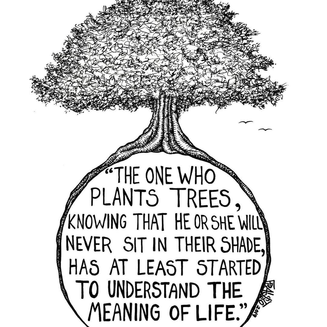 ダナイ・ガルシアさんのインスタグラム写真 - (ダナイ・ガルシアInstagram)「“The one who plants trees, knowing that he or she will never sit in their shade, has at least started to understand the meaning of life”. 🦋🌻🌸 Let’s keep planting beautiful 🌲  #mean #magickingdom #queen #simplemessage #workflow #shade #beauty #gratitude #light #luz #graciasportanto #entertainment #danaygarcia #universeonmyside #magic #tvshow #fearthewalkingdead #universe #never forget the magic. 👑」5月24日 13時05分 - danaygarcia1
