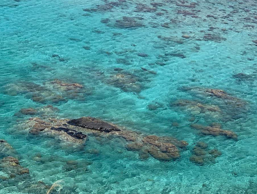 大山加奈さんのインスタグラム写真 - (大山加奈Instagram)「. . 海がほんとにほんとにキレイ‼︎ . . まったく加工していません‼︎ . . 次は海眺めながら ぼーーっとしたいなー。 . . 癒し効果ハンパないです‼︎ . . #徳之島 #徳之島観光 #徳之島旅行  #離島巡り #離島旅行  #海 #海好き #ビーチリゾート  #珊瑚 #サンゴ礁の島」5月24日 13時28分 - kanaoyama0619