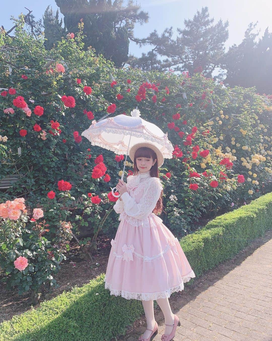 青木美沙子さんのインスタグラム写真 - (青木美沙子Instagram)「すてきな光が入った写メ🌹」5月24日 13時52分 - misakoaoki