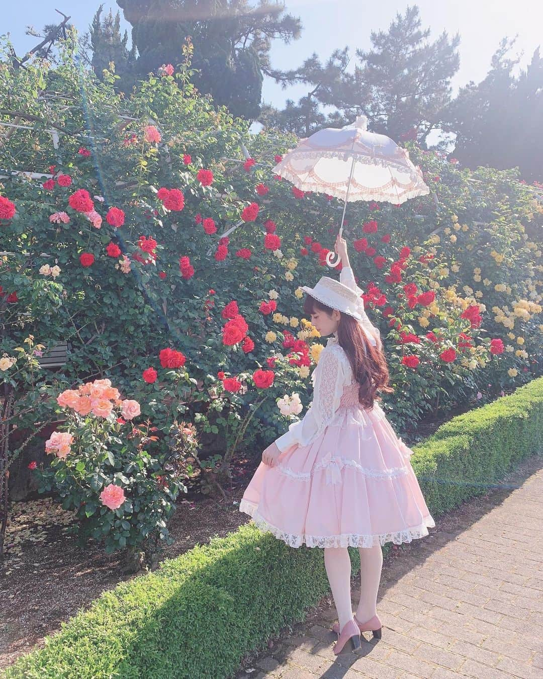 青木美沙子さんのインスタグラム写真 - (青木美沙子Instagram)「すてきな光が入った写メ🌹」5月24日 13時52分 - misakoaoki