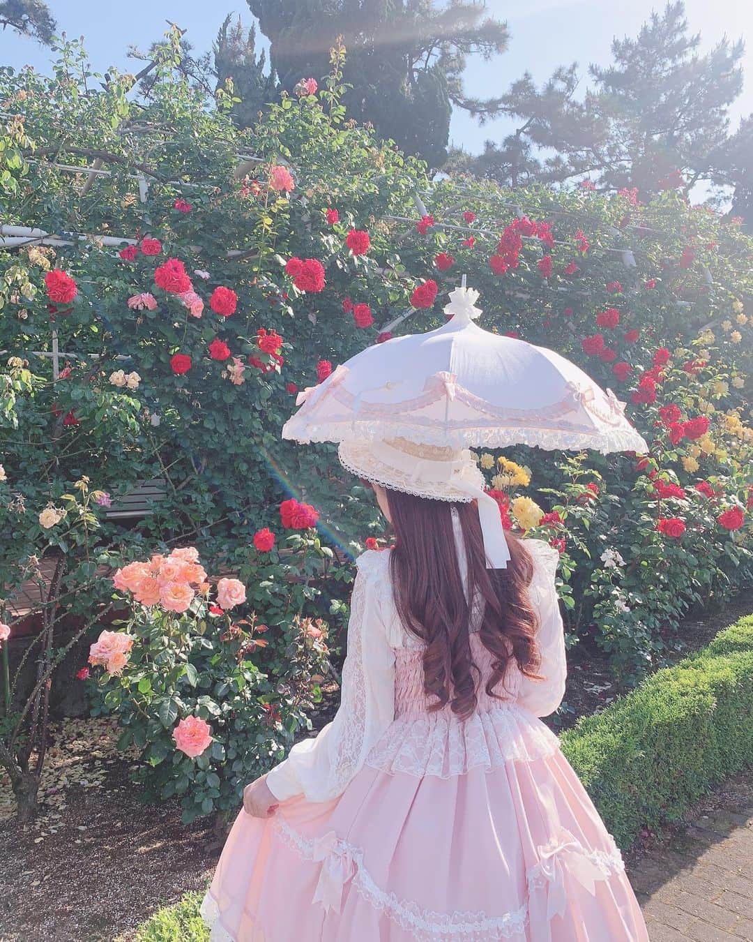 青木美沙子さんのインスタグラム写真 - (青木美沙子Instagram)「すてきな光が入った写メ🌹」5月24日 13時52分 - misakoaoki