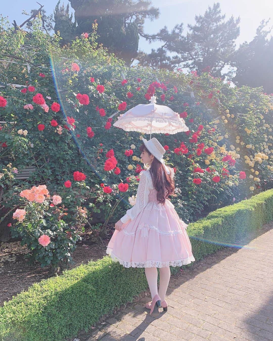 青木美沙子さんのインスタグラム写真 - (青木美沙子Instagram)「すてきな光が入った写メ🌹」5月24日 13時52分 - misakoaoki