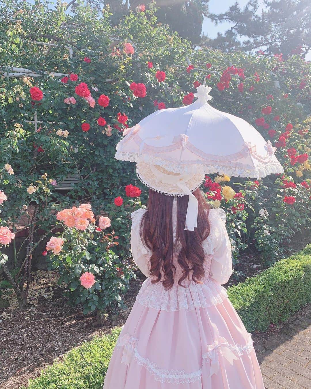 青木美沙子さんのインスタグラム写真 - (青木美沙子Instagram)「すてきな光が入った写メ🌹」5月24日 13時52分 - misakoaoki