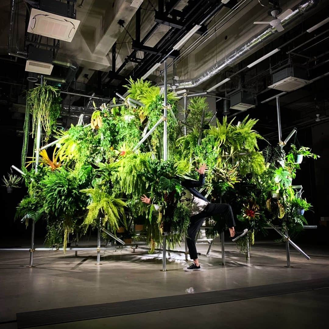 東信さんのインスタグラム写真 - (東信Instagram)「Botanical Sculpture in Harumi Tokyo Date : May 24, 2019  #azumamakoto #makotoazuma #shiinokishunsuke #amkk #amkkproject #flowers #flowerart #botanicalsculpture #東信 #東信花樹研究所 #fujifilm #fujikina2019 #富士フイルム #フジキナ2019」5月24日 14時11分 - azumamakoto