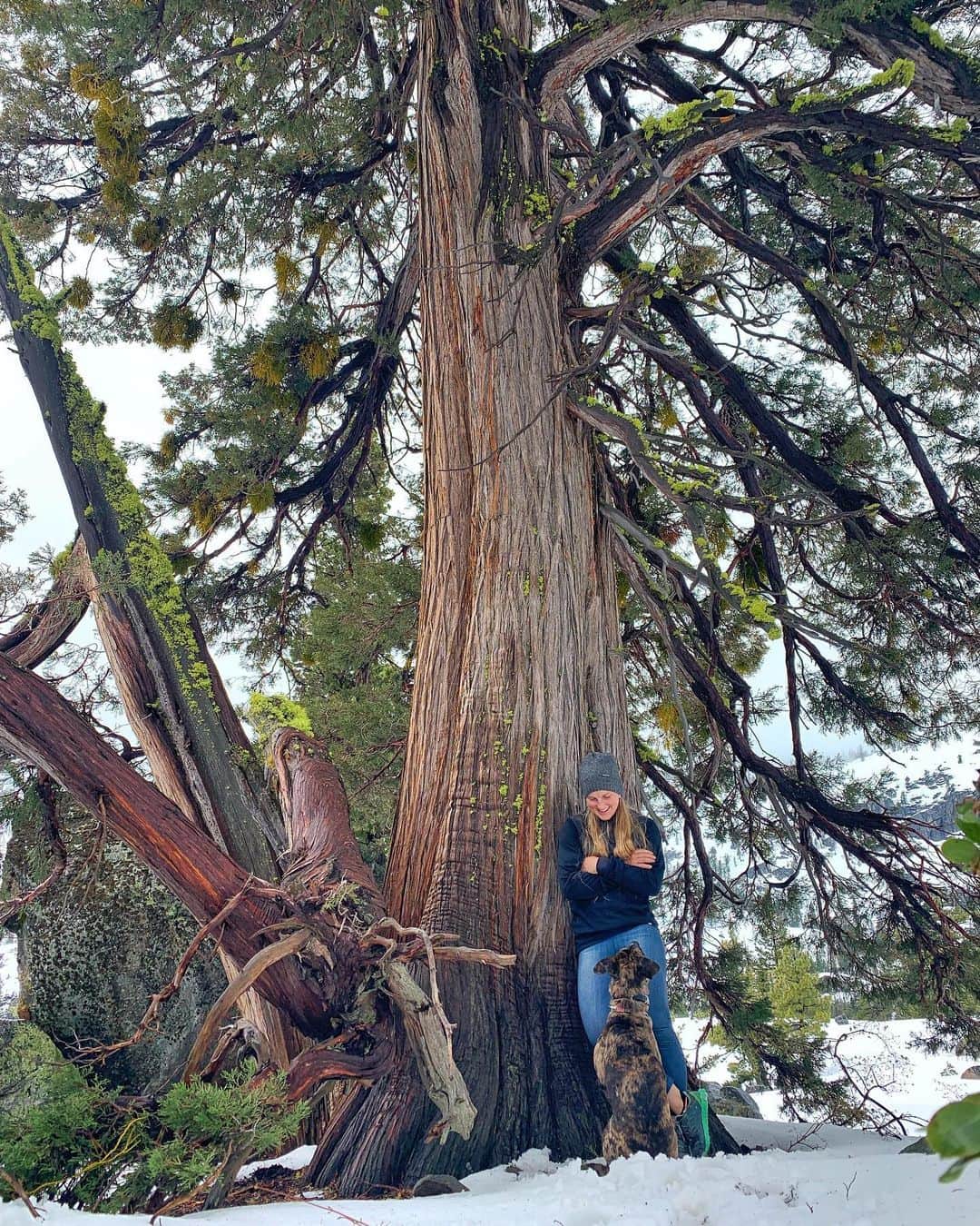 エミリー・ハリントンさんのインスタグラム写真 - (エミリー・ハリントンInstagram)「5/23/19 Slaydie self portrait w beaut tree & best friend 🤳🏻💃🏼😻 // #slaydies 💕🙌」5月24日 14時33分 - emilyaharrington