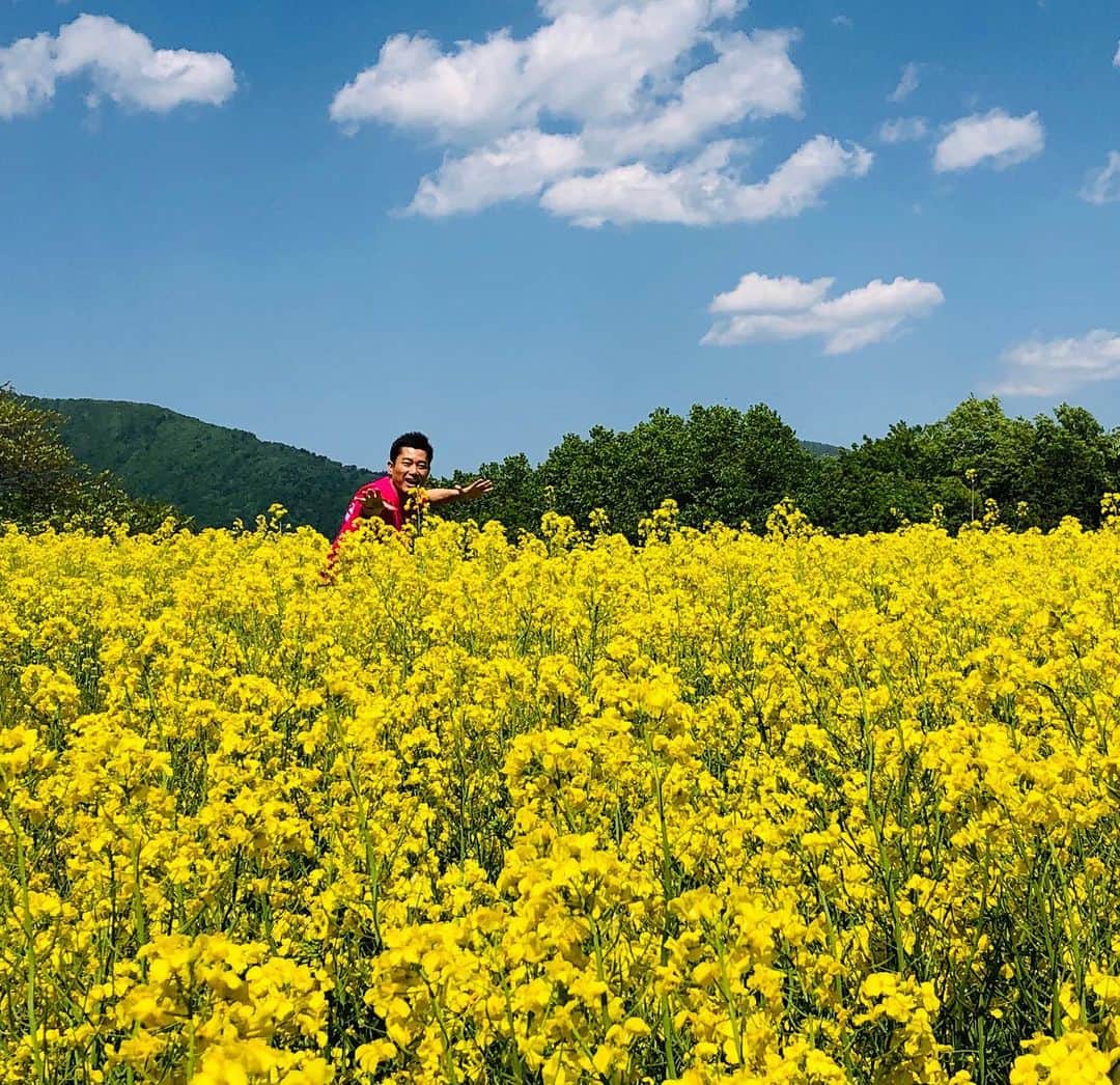 逸見太郎のインスタグラム：「金曜ヨジデス☀️中継は  #三ノ倉高原 #菜の花畑 #菜の花フェスタ #ビューポイント #菜の花グルメ #喜多方市 #熱塩加納町 #福島県  天気良くてサイコー👍 生放送お楽しみに❗️」