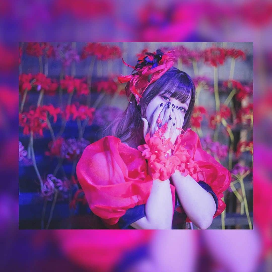 桜野羽咲さんのインスタグラム写真 - (桜野羽咲Instagram)「❤︎﻿ ﻿ ﻿ ﻿ ﻿ ﻿ ツイッターの新しいプロフィール画像﻿ ﻿ ブラックライトに照らされているのでなんかすごい色味と雰囲気﻿ ﻿ ﻿ ﻿ ﻿ ﻿ ﻿ ﻿ #flower #japanesegirl #girl #akihabara #photo #red #goth #singer #black #studio #twitter #new #プロフィール画像 #彼岸花 #曼珠沙華 #照明 #ブラックライト #劇薬のシュロギスモス #MIYANISHIYAMA」5月24日 14時37分 - sakuranousa