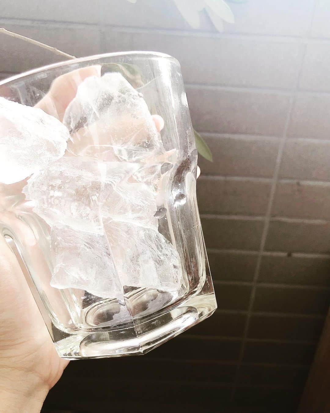 堤礼実さんのインスタグラム写真 - (堤礼実Instagram)「🌴 . 暑い😦😦 皆さん、熱中症や日射病にはどうかお気を付けて下さい！ . #氷を見つめるだけで少し涼しく感じるような感じないような #アイス食べたい…🍧」5月24日 14時38分 - reimi_tsutsumi1123