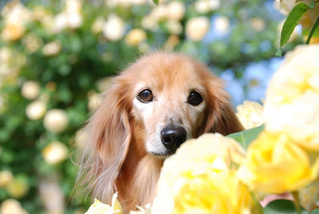 ?モデル?大地?のグルメインスタ