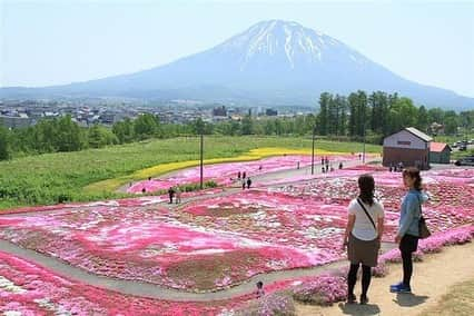 現地発信の旅行サイト「たびらい」のインスタグラム