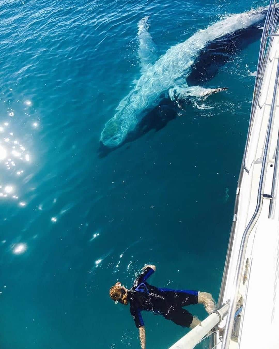 Australiaさんのインスタグラム写真 - (AustraliaInstagram)「“C’mon, do a backflip with me, human!” 🐋 @tasmanventure can’t wait for the #whalewatching season to start again in @queensland’s #HerveyBay, so they can witness plenty more special moments like this.  #Humpbackwhales start showing up along @visitfrasercoast from July to November each year as part of their annual migration. In the calm waters of this area whale mums often bring their offspring close to boats and do a little showing off as they teach their calves to breach, spy-hop and fin slip. Each day is different on a whale watching tour here, and whatever you’re lucky enough to witness, we can guarantee this amazing encounter will blow you away!  #seeaustralia #thisisqueensland #visitfrasercoast #wildlifephotography」5月24日 15時00分 - australia