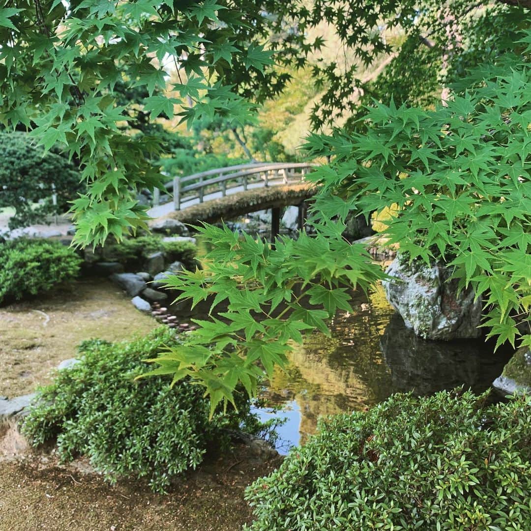 牛窪万里子さんのインスタグラム写真 - (牛窪万里子Instagram)「京都御所の美しい青紅葉。 #京都 #京都御所 #青紅葉  #kyoto  #kyotoimperialpalace」5月24日 20時26分 - mariko_ushikubo