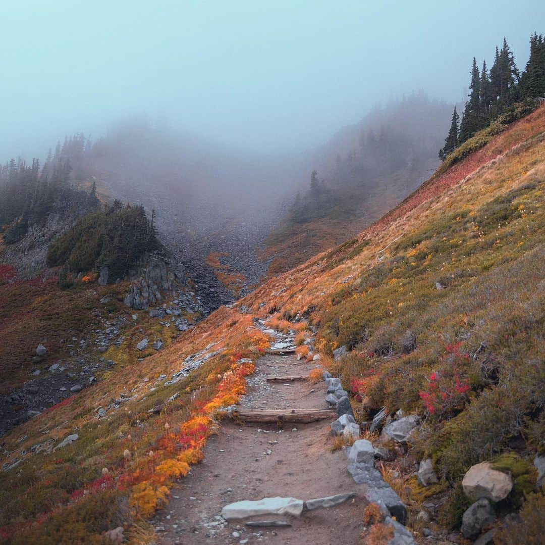 FOLKさんのインスタグラム写真 - (FOLKInstagram)「Yesterday i shared a preview of @betterrugged’s essay from the new issue folk on our website. The link is in our profile/story. Today I wanted to share a few more of his landscape images here!」5月24日 20時28分 - folkmagazine