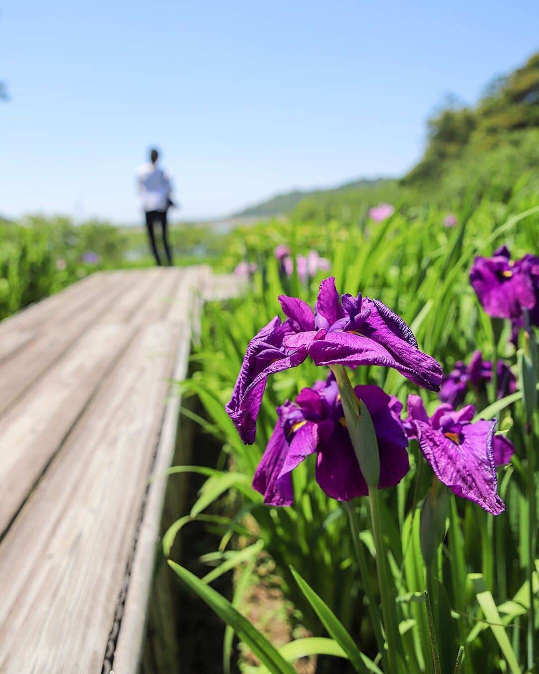 愛知県田原市のインスタグラム