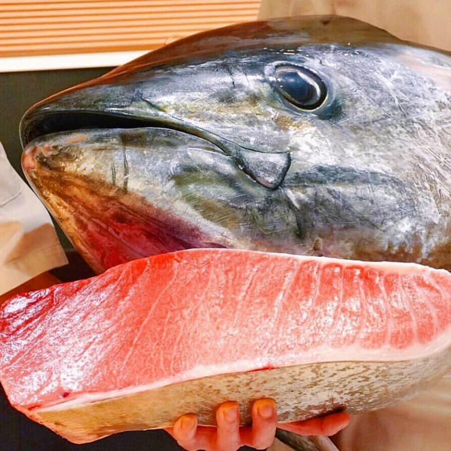 寿司居酒屋 番屋のグルメインスタ