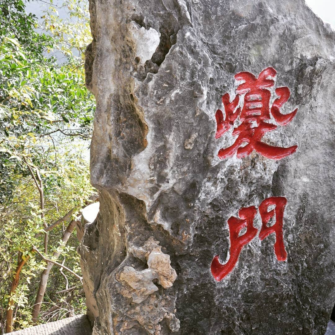 旅行比較サイト・トラベルコ 理想の旅を、いちばん安く。さんのインスタグラム写真 - (旅行比較サイト・トラベルコ 理想の旅を、いちばん安く。Instagram)「#長江 を旅する三峡クルーズで、劉備玄徳が最期を迎えた地として有名な#白帝城 へ。いちばんの見どころは、中国の10元紙幣にも描かれている「夔門（きもん）」の風景。 1枚目は展望台から撮影したもの。なんという雄大さ…！ 訪問日はあいにく雲の多い日だったのですが、雲の切れ間から「天使のはしご」と呼ばれる日の光が差してきて、荘厳な雰囲気を醸し出していました。 展望台以外の場所からでも夔門の撮影は可能なので、お気に入りの角度を探してみては？  このあとクルーズ船は夔門の間を通り、#瞿塘峡 （くとうきょう）と呼ばれる#三峡 のひとつを抜けていきます。 途中でさらに小さい船に分乗して向かった「小小三峡」では、先ほど感じた雄大さをコンパクトに、手が届きそうな距離で体験することができました。船頭さんも気さくで、なかなか楽しいですよ！ * * * あなたが訪れた旅先での写真に《 @travelko_chan 》《 #トラベルコ 》《 #travelko 》とタグ付けして投稿してみてください！こちらのアカウントで紹介させていただくかもしれません♪ * * * #中国 #china #重慶 #重庆 #chongqing #三峡 #長江 #长江 #yangtzeriver #瞿塘峡 #白帝城 #クルーズ #旅行 #海外旅行 #travel #trip #sightseeing #フォトジェニック #旅行好きな人と繋がりたい #写真好きな人と繋がりたい #カメラ女子 #カメラ男子 #followme #instatravel #travelgram #instagood #instaphoto #travelko #トラベルコ #トラベルコちゃん」5月24日 15時18分 - travelko_official