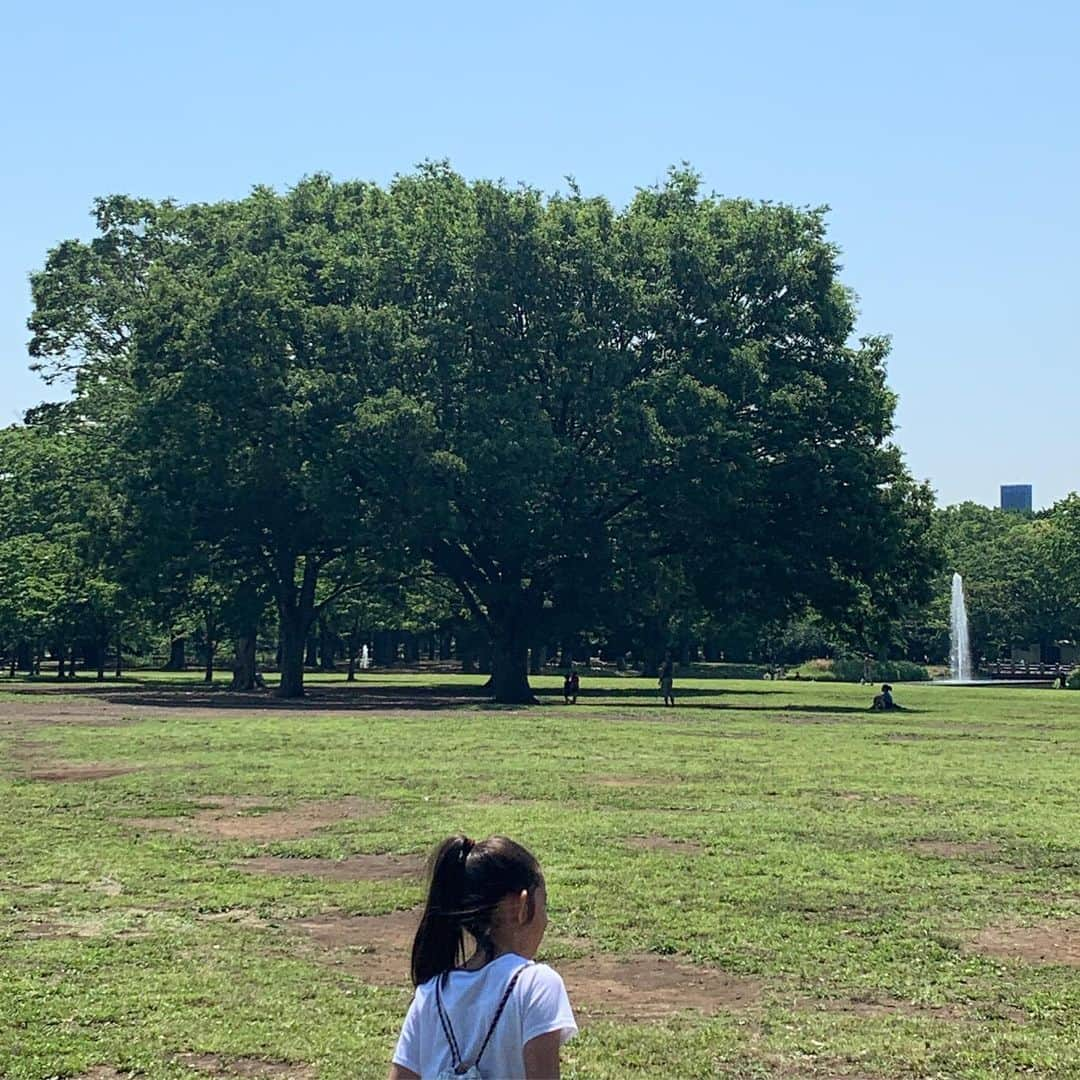 渡辺満里奈さんのインスタグラム写真 - (渡辺満里奈Instagram)「午前中は代々木公園でサイクリング&ピクニック🌳🚴‍♀️✨ 暑いけど、木陰はまだ涼しくて気持ちいい。緑で癒されてからの➡️新幹線移動で仕事へ🤪 ★ #寝たわー #新幹線で #気がついたら #メガネが新喜劇ばりにずれてた🤣」5月24日 15時16分 - funnyfacefunny