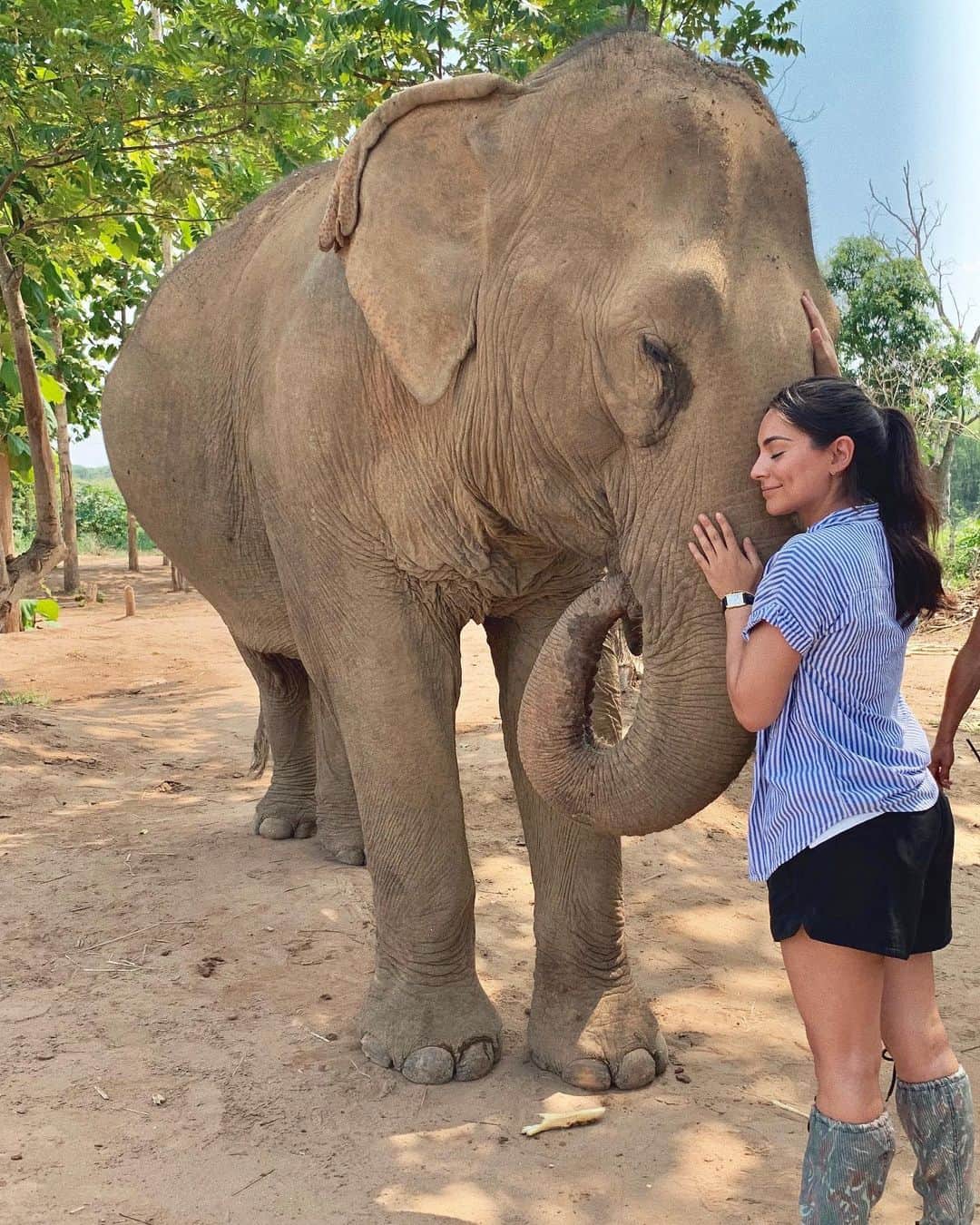 Ana Brenda Contrerasのインスタグラム：「Spent an amazing morning with these magnificent creatures. In @mandalao_elephants There are NO ELEPHANT RIDES. No circus tricks. Rides are off the menu. They typically require traumatizing training, I saw marks on some of these rescued elephants and it’s heartbreaking. If you’re visiting make sure is an ethical sanctuary . Mandalao is working with a national park to reintroduce elephants into the wild. Words can’t explain how smart they are and much they filled my heart with joy by just watching them, feeding them and taking a walk with them🐘 ❤️// Pase una mañana hermosa en compañía de estas criaturas majestuosas . En Mandalao los elefantes NO SE MONTAN , pude ver las marcas en algunos elefantes rescatados y me rompieron el corazón. Si van a visitar por favor asegúrense de ir a un santuario con Ética que se preocupe por la conservación de esta especie. No tengo palabras para explicar lo inteligentes que son y como me llenaron el corazoncito solo de verlos, alimentarlos y caminar con ellos 🐘❤️」