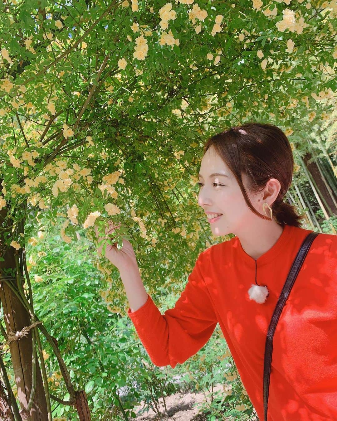 若林翔子のインスタグラム：「* * 最高の旬感さんぽ日和😊  今日は松島をブラブラしておりました😚  もーどこに行っても映え映え😍😍😍 本気で松島を楽しんでました笑‼️ 放送は27日KHBチャージ！で、17:35ごろからの予定です👌  ぜひ松島のさんぽを感じてください❤️ * * #KHB #チャージ！ #旬感さんぽ #若林翔子 #レポーター #日本三景 #松島 #円通寺 #旬 #都会より #緑ある場所が好き #癒し #最高の癒し #今日のしょうこ撮影会カメラマンは音声の佐藤さん🤗 #ナイスカメラマン」