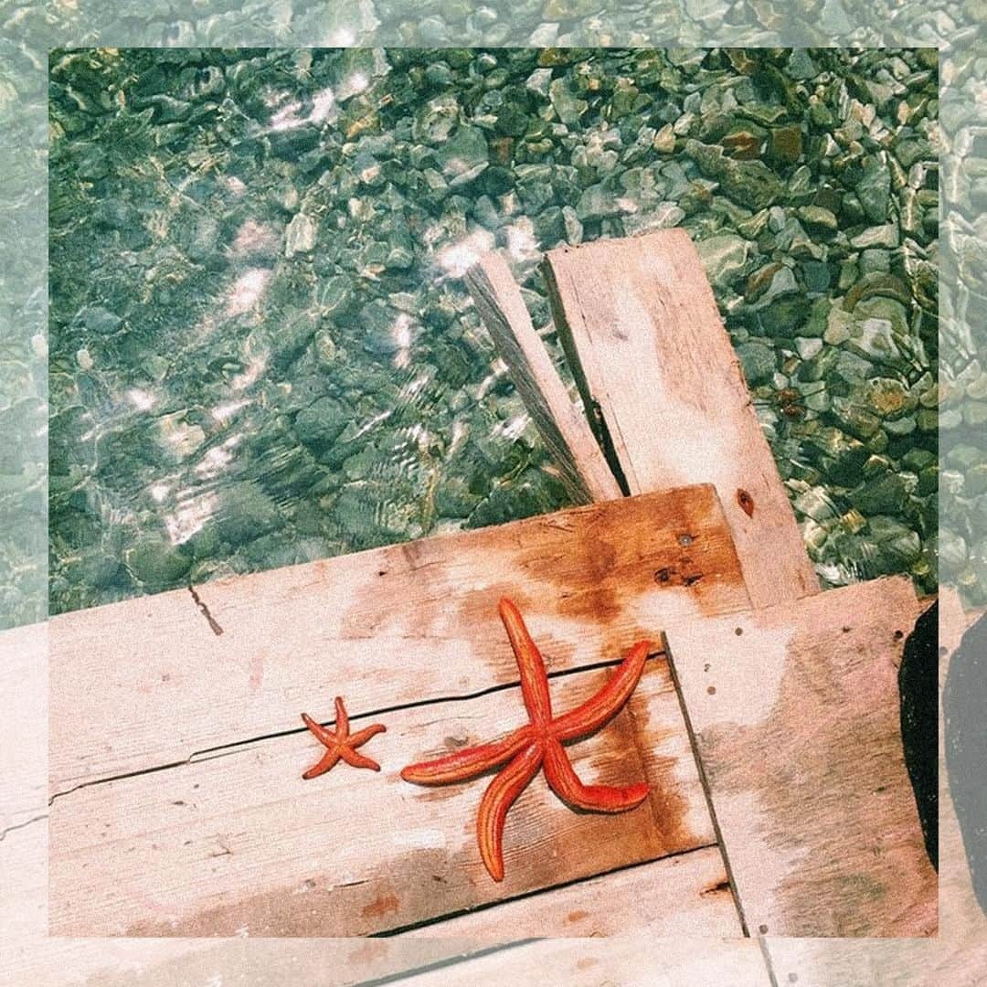 アクセサライズのインスタグラム：「Crystal waters and incredible creatures! We're dreaming of sitting right here and starting the day by dipping our toes in the ocean. 🌊🐠#ACCZinCRETE #Accessorize #Travel #Inspo」