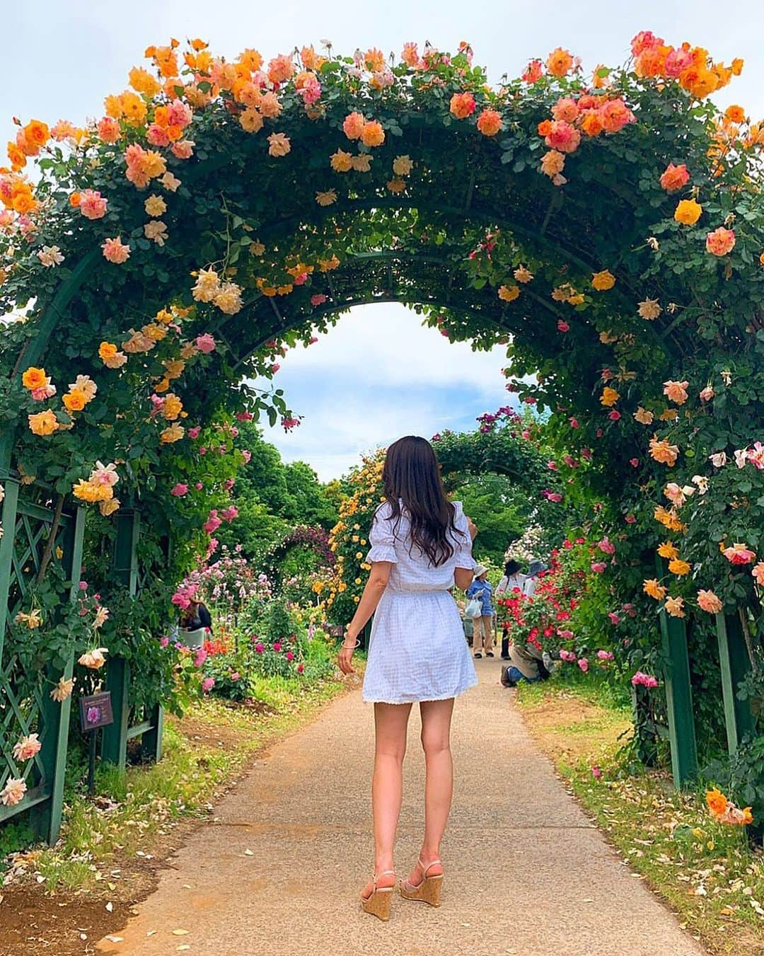 エリカ・セイラさんのインスタグラム写真 - (エリカ・セイラInstagram)「🌹 #京成バラ園 #roses #flowers #バラ園 #薔薇 #バラ #rosegarden #バラのアーチ #halfJapanese #eurasian #botanicalgardens #ハーフ #モデル #flowerstagram #お花」5月24日 17時03分 - erica_sarah_