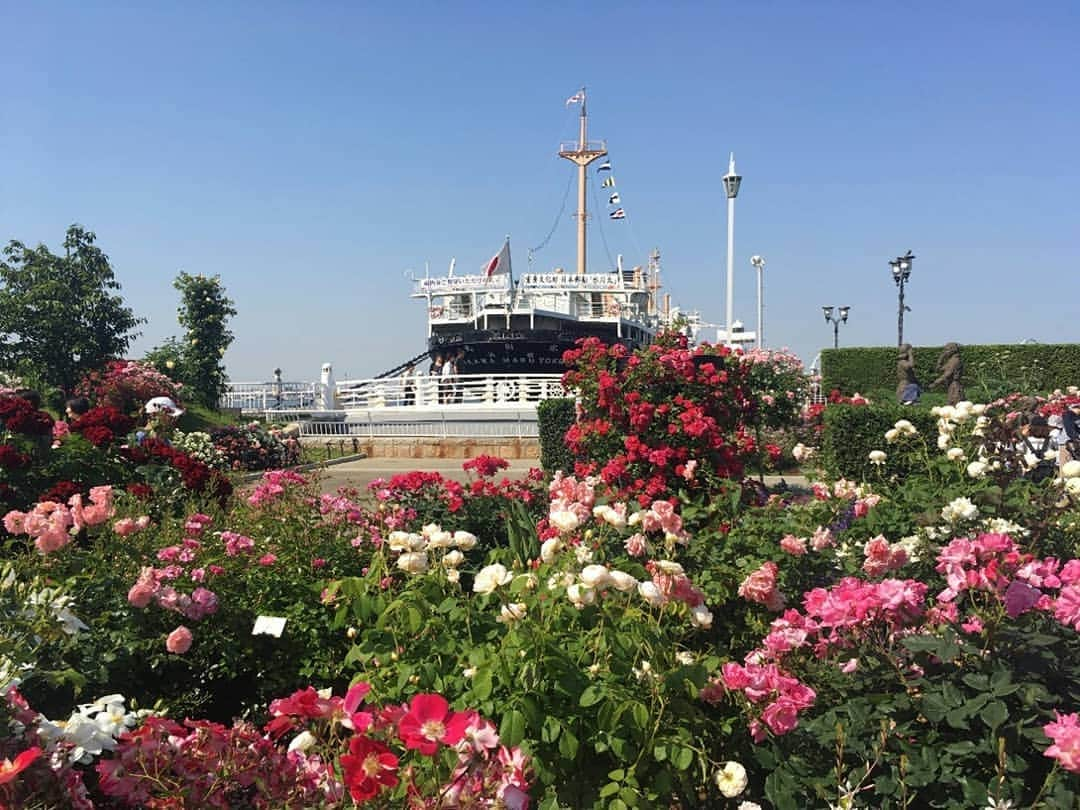 東京カメラ部 横浜分室のインスタグラム