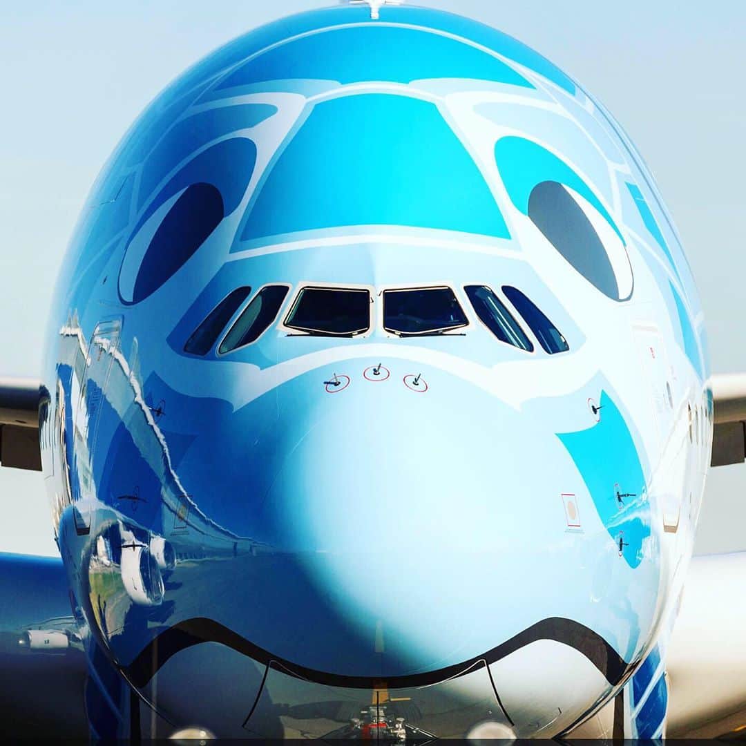 ANAのインスタグラム：「本日就航🛫  #ソラマニ_ヒコーキ #a380 #初号機 #本日 #就航 #5月24日 #ハワイ #ハワイの街並み #ホノルル #オアフ島 #フライングホヌ #旅行 #楽しみ #わくわく #待ちに待った #成田空港 #出発 #flyinghonu #honu #hawaii #color #honolulu #airplane #anaairplane #fly #japan #bluesky #naritaairport  ANAの飛行機は「#ソラマニ_ヒコーキ 」をつけて投稿してね💙インスタやANAの各メディアでご紹介していきます⭐️」