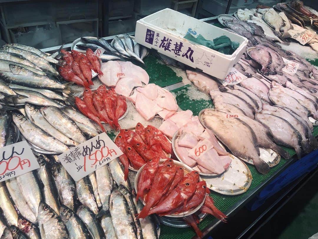 永田レイナさんのインスタグラム写真 - (永田レイナInstagram)「北海道取材に来ています！ 今回は初めての釧路・帯広エリア。 . まずは“北のシーフードパラダイス” 釧路漁港近くにある【和商市場】にて 「勝手丼」盛り体験をしてきました！ ご飯を買って、その上に好きな海鮮を乗せて、 自分好みの“オリジナル海鮮丼”を作れるんです。 なんて贅沢… 新鮮で美味しくて比較的リーズナブル。 まさに“おさかな天国”でした🐟 . #zipfm #JAL #ぶらすた #釧路 #和商市場 #勝手丼 #北海道 #おさかな天国 #海鮮 #kushiro #hokkaido #japan #seafood」5月24日 17時43分 - reina_nagata