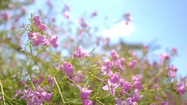 竹仲絵里のグルメインスタ