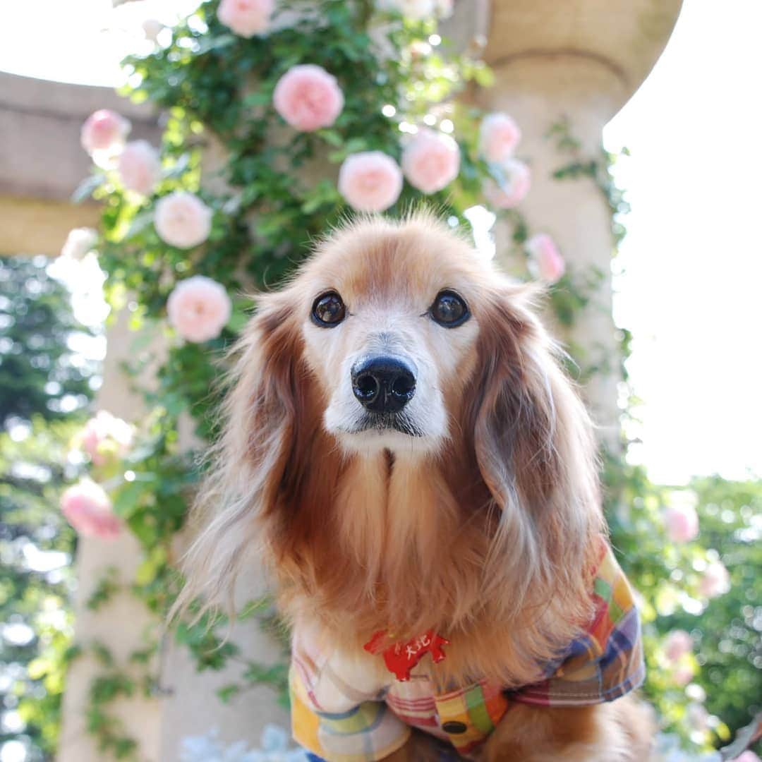 ?モデル?大地?のグルメインスタ