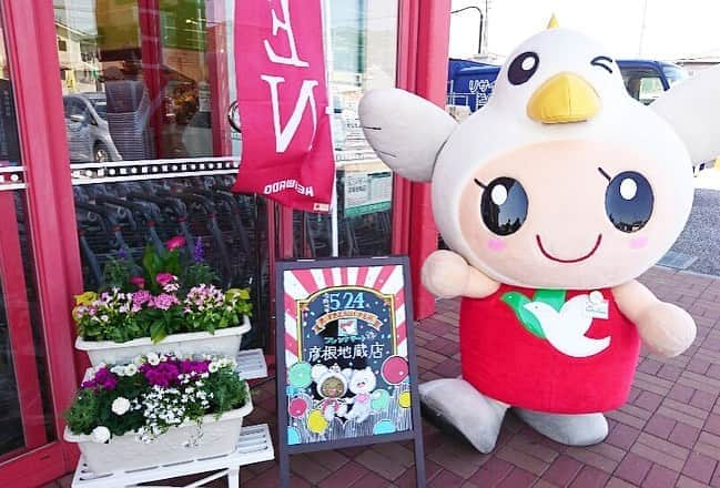 平和堂イメージキャラクター「はとっぴー」のインスタグラム