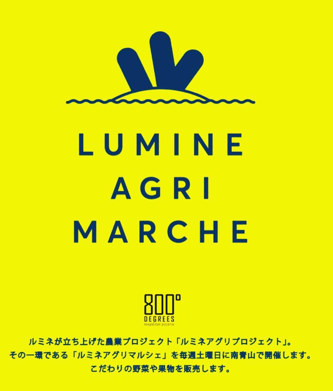 800DEGREES JAPANさんのインスタグラム写真 - (800DEGREES JAPANInstagram)「5月25日(土) . 明日のマルシェは13:00～開催！ . 南青山店のテラスでは明日もこだわりのお野菜、果物がラインナップします！テラス席ではドリンクテイクアウトもできます。皆さまのご来店をお待ちしております！ . 毎週土曜日開催！ . #800degrees #800degreesjapan #ルミネアグリマルシェ #南青山 #表参道 #ピザ #🍕 #表参道ピザ #farmersmarket #マルシェ #野菜販売 #野菜 #vegery #食べチョク」5月24日 21時30分 - 800degrees_japan