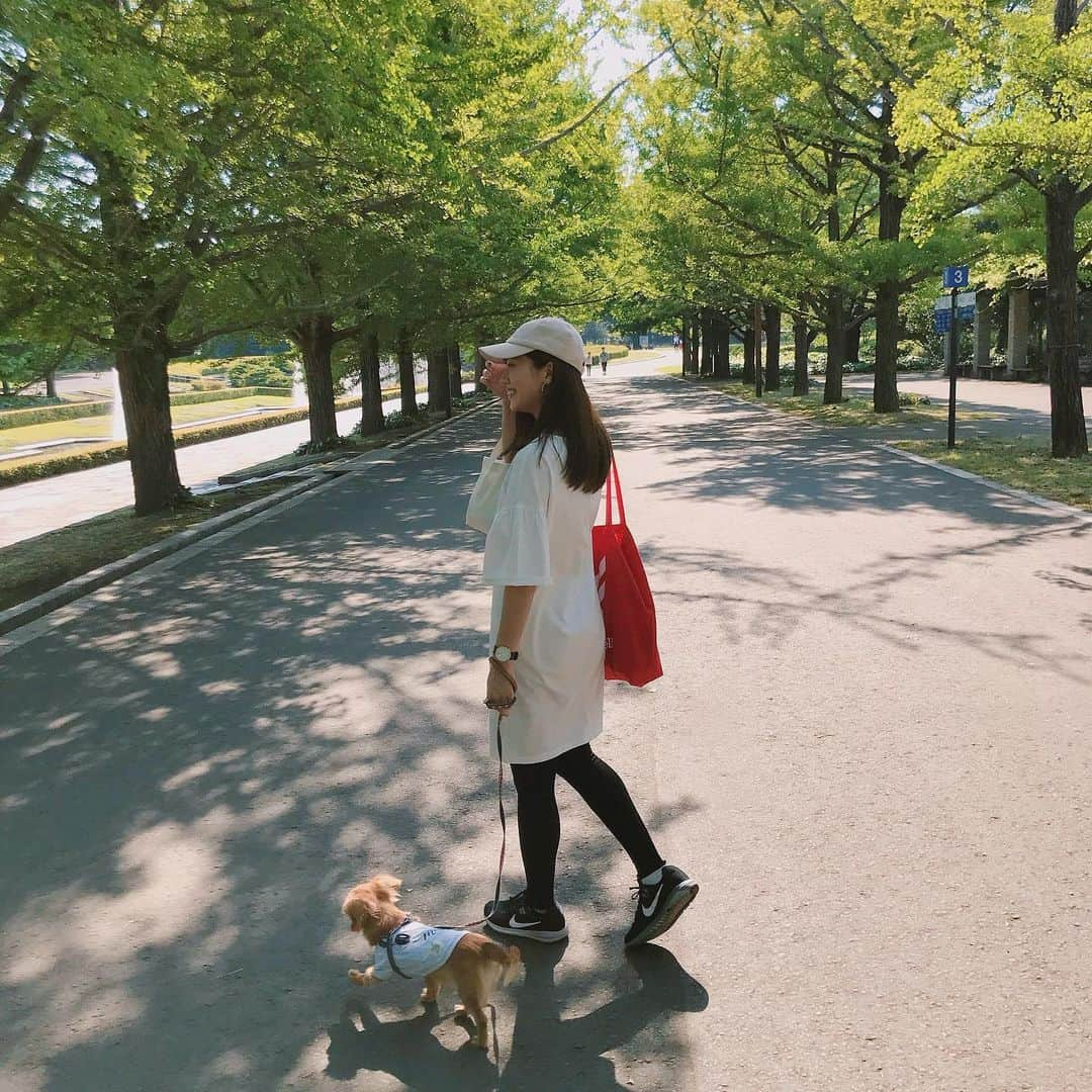 村上奈菜さんのインスタグラム写真 - (村上奈菜Instagram)「ルゥが嬉しそうで自分も嬉しくなる🐶❤︎ . #チワックス #犬好き #いぬのいる暮らし #お散歩 #ドッグラン #五月晴れ」5月24日 21時40分 - murakami__nana