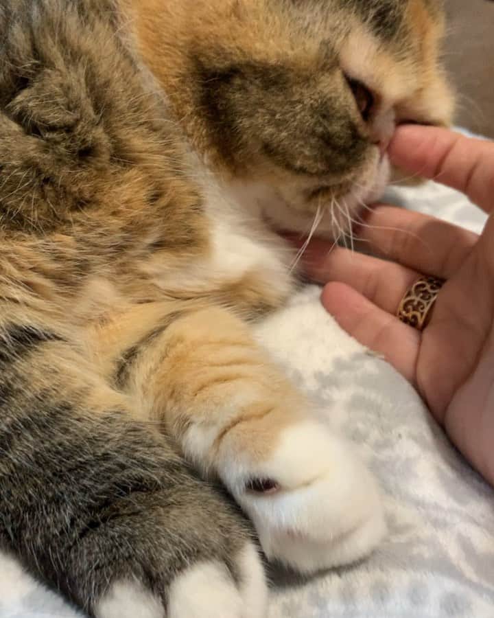 Tinaのインスタグラム：「Baby girl needs a nail trim😜」