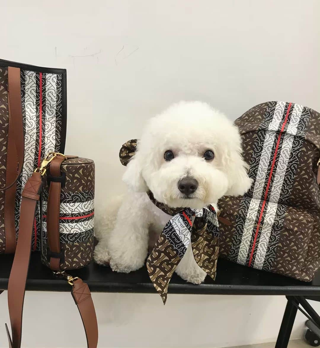 ヒョナ さんのインスタグラム写真 - (ヒョナ Instagram)「#ThomasBurberryMonogram ❤️❤️❤️❤️❤️❤️」5月24日 21時59分 - hyunah_aa