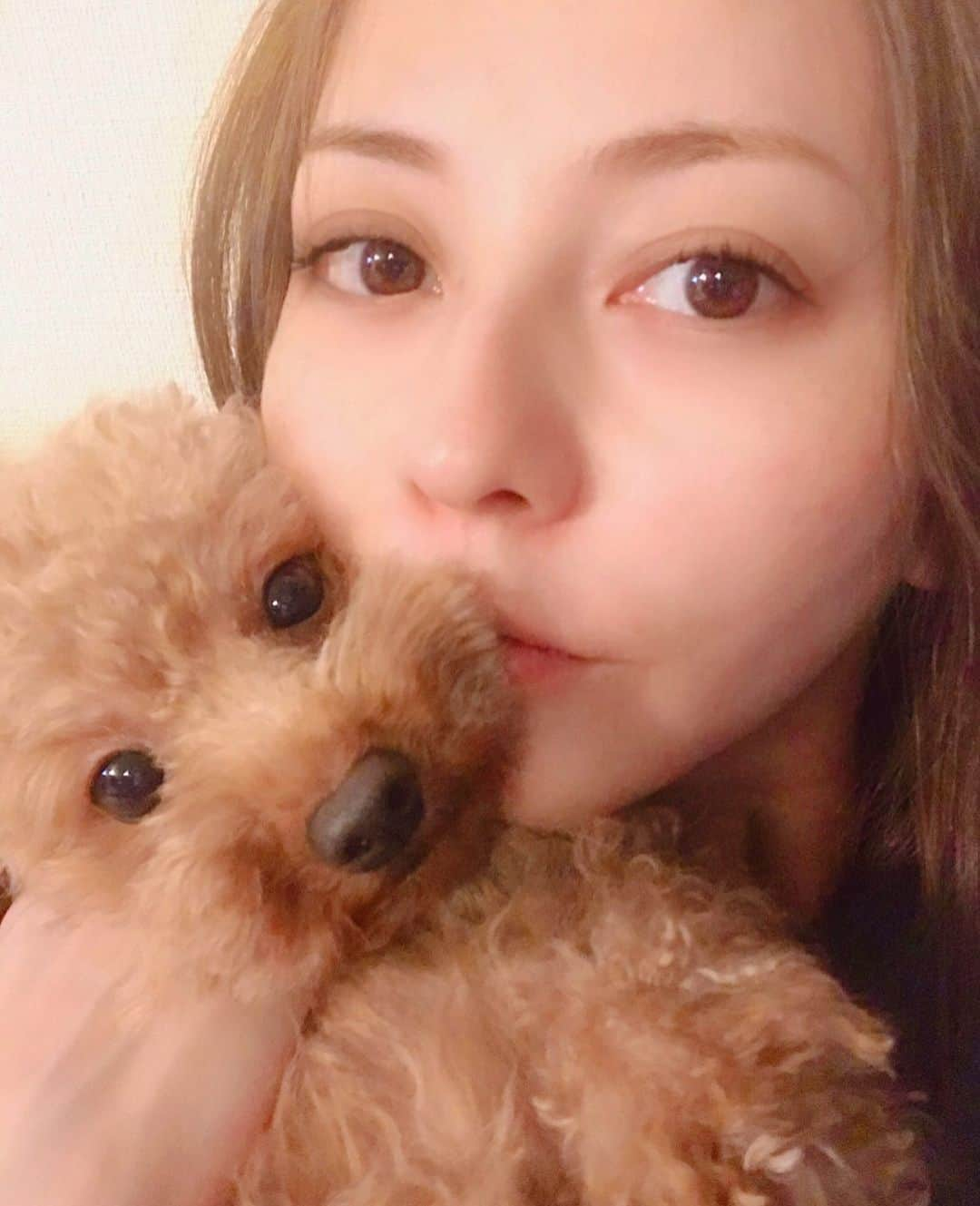 香里奈さんのインスタグラム写真 - (香里奈Instagram)「Happy Birthday my lovely Mint !! ✨ Also, she just turned 4years old in this morning🤩❤️ よく面白い動きをするみんと 🌱 ずっと笑わせてね！ 笑  #香里奈 #karina #Mint #みんと #4yearsold #4歳 #happybirthday  #524 #toypoodle  #トイプードル #playfulgirl #treasure #family」5月24日 22時19分 - karina_official_221