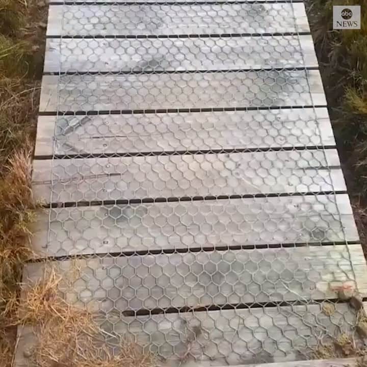 ABC Newsのインスタグラム