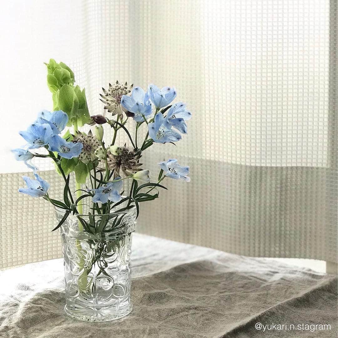 Bloomee LIFEさんのインスタグラム写真 - (Bloomee LIFEInstagram)「・ Bloomee LIFEのお花、試してみました。 ブルー系で涼しげで、お花もとても元気！ ・ Special Thanks Photo by⠀⠀ @kanakophoto @yukari.n.stagram ・ 初夏の爽やかさを感じる涼しげなお花💐🌿 透明なガラスの花瓶に合わせれば、 さらに涼感を呼ぶ素敵な雰囲気に😌✨ ・ #bloomeelife#ブルーミーライフ#花のある生活#花好きな人と繋がりたい#おうち時間#花部#花写真#花が好き#花を飾る#暮らしを楽しむ#日々の暮らし#丁寧な暮らし#日々#お花のある暮らし#ナチュラル#素敵な休日#暮らしを整える#くらしのきほん#日々の暮らしを楽しむ#丁寧に暮らす#ナチュラルインテリア#ミニブーケ#フラワーベース#すっきり暮らす#シンプルライフ#シンプルに暮らす#シンプルホーム#植物のある暮らし」5月24日 22時37分 - bloomee