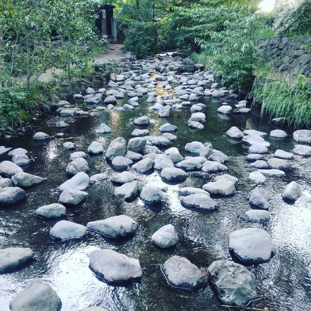 のインスタグラム